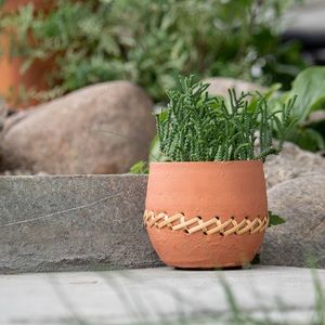 Mesa Terracotta Planter